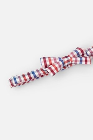 COCCODRILLO tauriņš ELEGANT JUNIOR BOY, multicoloured, ZC3371202EJB-022   