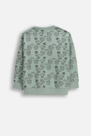 COCCODRILLO džemperis, zaļa, WC6132102NBK-011-116, 116 cm 