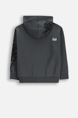 COCCODRILLO džemperis ar rāvējslēdzēju ar kapuci, pelēks, cm 