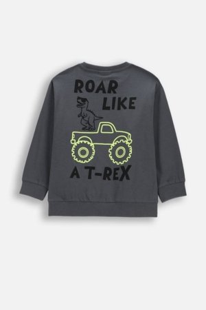 COCCODRILLO t-krekls ar garām piedurknēm, pelēki, cm 