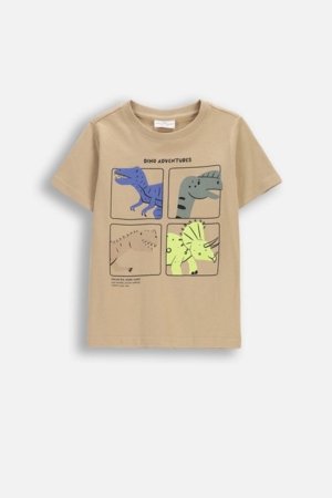 COCCODRILLO t-krekls ar īsam piedurknēm, smilšu krāsa, cm 
