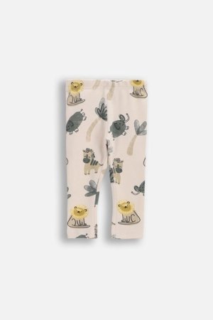 COCCODRILLO legini, krēmkrāsas, WC6122102IBN-003-068, 68 izmērs 