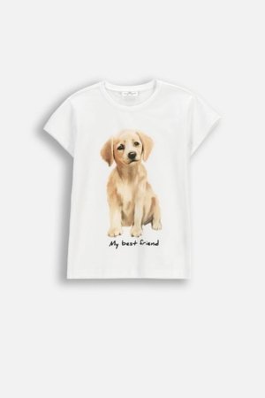 COCCODRILLO t-krekls ar īsam piedurknēm, balti, cm 