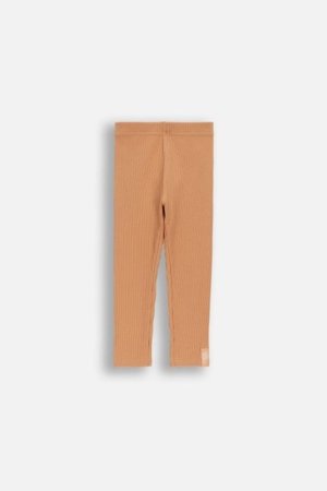 COCCODRILLO legini, brūni, 