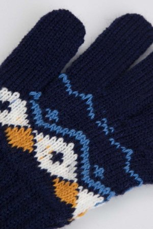 COCCODRILLO cimdi ACCESSORIES WINTER BOY, multicoloured,  ZC3360308AWB-022 