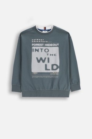 COCCODRILLO t-krekls, pelēki, cm 