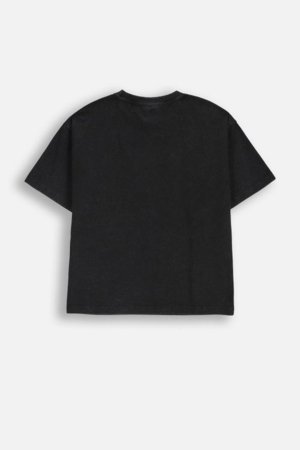 COCCODRILLO t-krekls, pelēks, ZC5143201EPB-019-152, 152 cm 