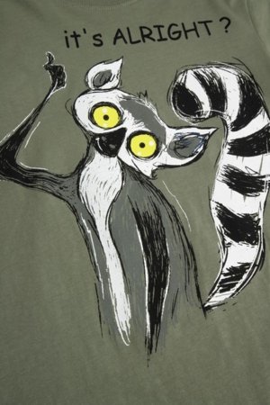 COCCODRILLO t-krekls ar īsam piedurknēm, zali, cm 