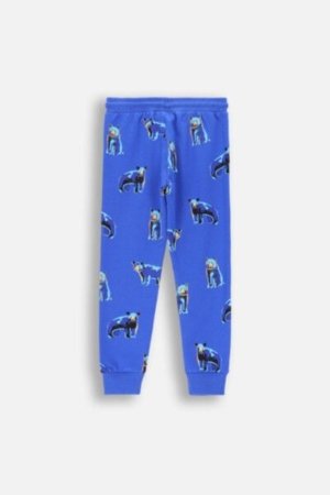 COCCODRILLO legini FOREST FRIENDS KIDS, cobalt, ZC4122701FBK-032-122, 122 cm