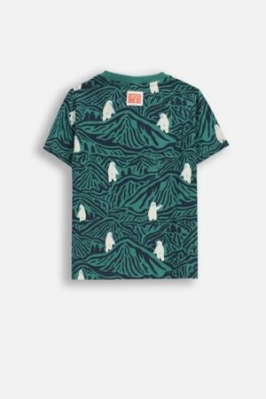 COCCODRILLO t-krekls, daudzkrāsains, cm 