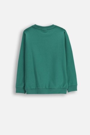 COCCODRILLO t-krekls, zaļš, ZC5143101YBK-011-110, 110 cm 