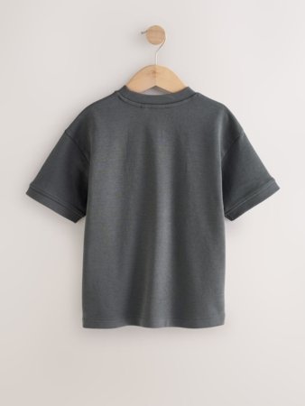 NEXT t-krekls, F23914, cm 