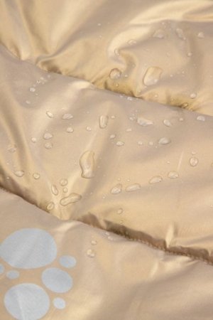 COCCODRILLO jakete OUTERWEAR GIRL KIDS, zelta, ZC5152108OGK-023-110, 110 cm 