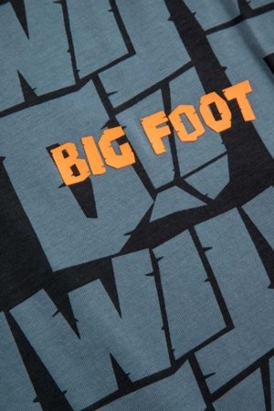 COCCODRILLO t-krekls, krāsaini, ZC5143203YBJ-022-164, 164 cm 