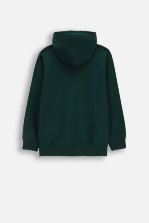 COCCODRILLO džemperis ar kapuci, zaļa, WC6132301VBA-011-146, 146 cm 