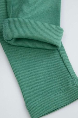 COCCODRILLO legingi FOREST FRIENDS BOY NEWBORN, zaļš, ZC5122103FBN-011-074, 74 cm 