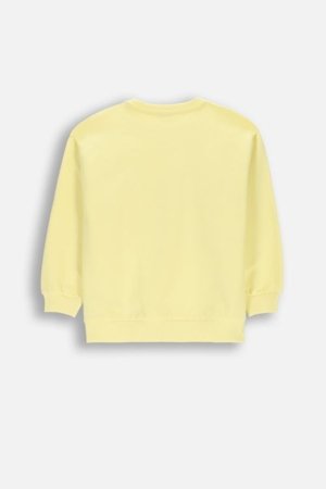 COCCODRILLO džemperis, dzeltens, izmērs 