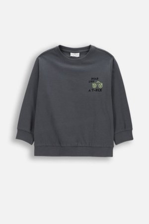 COCCODRILLO t-krekls ar garām piedurknēm, pelēki, cm 