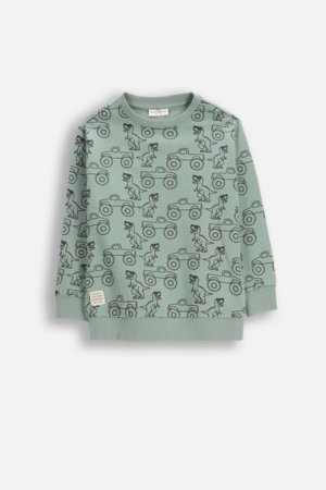 COCCODRILLO džemperis, zaļa, WC6132102NBK-011-116, 116 cm 