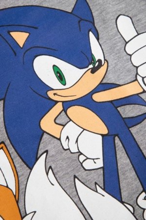 COCCODRILLO krekls ar īsām piedurknēm LICENCE BOY, pelēks, WC5143211LBD-019-122, 122 cm 