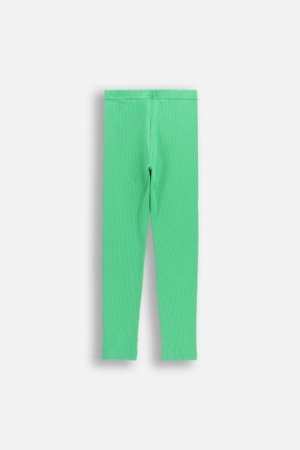 COCCODRILLO legini, zali, WC6122101GGK-011-116, 116 izmērs 