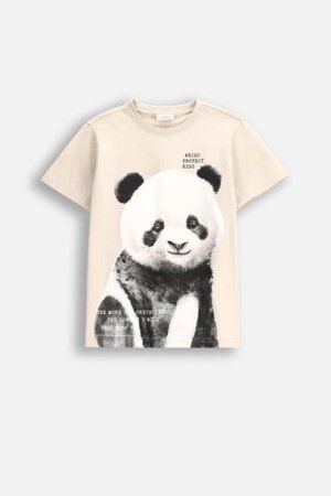 COCCODRILLO krekls ar īsām piedurknēm EVERYDAY UNISEX A, krēmveida, WC5143202VUA-002-152, 152 cm 