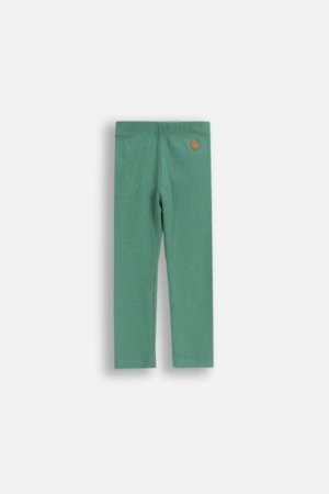 COCCODRILLO legingi FOREST FRIENDS BOY NEWBORN, zaļš, ZC5122103FBN-011-074, 74 cm 