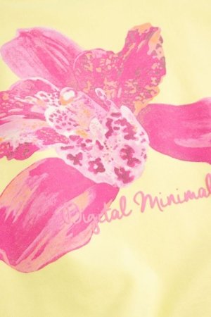 COCCODRILLO džemperis, dzeltens, izmērs 