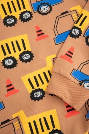 COCCODRILLO džemperis CITY BUILDER BOY KIDS, brūns, cm