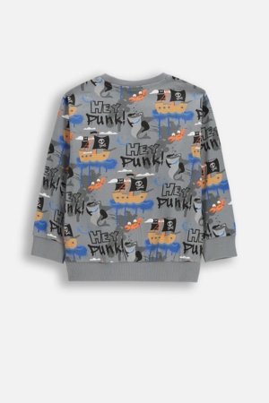 COCCODRILLO t-krekls ar garām piedurknēm, pelēki, cm 