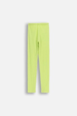 COCCODRILLO legini, zali, izmērs 