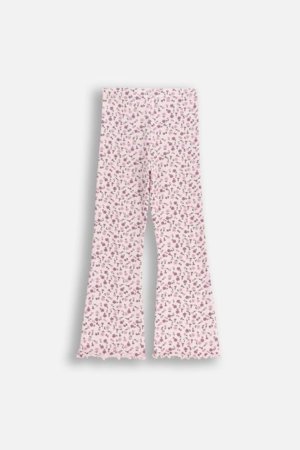 COCCODRILLO zeķubikses, daudzkrāsains, ZC5122102WGK-022-104, 104 cm 