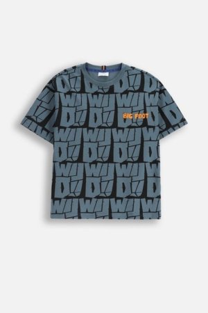 COCCODRILLO t-krekls, krāsaini, ZC5143203YBJ-022-164, 164 cm 