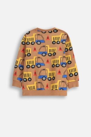 COCCODRILLO džemperis CITY BUILDER BOY KIDS, brūns, cm