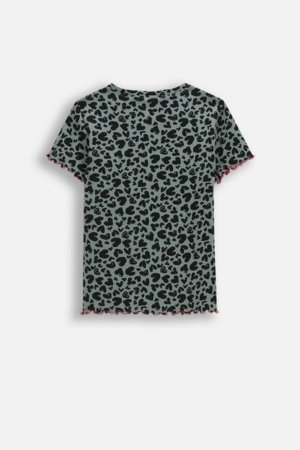 COCCODRILLO t-krekls ar īsam piedurknēm, daudzkrāsaini, WC6143202RGJ-011-140, 140 cm 