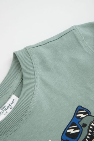 COCCODRILLO t-krekls ar garām piedurknēm, zali, cm 