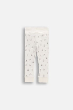 COCCODRILLO legini, krēmkrāsas, WC6122103HUN-003-074, 74 izmērs 