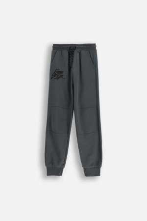 COCCODRILLO džogera bikses, pelēki, cm 