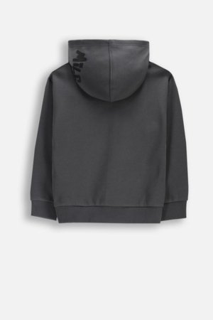 COCCODRILLO džemperis ar kapuci, pelēks, cm 