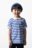 COCCODRILLO t-krekli ACADEMY BOY KIDS, zils, ZC5143601ABK-032-110, 110 cm 