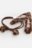 Coccodrillo matu gumijas un sprādzes, zili, ZC6311203PBJ-018-000 