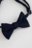 COCCODRILLO apakškrekli Accessories, zils, ZC5371201ACC-015-S, S