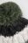 COCCODRILLO cepure ACCESSORIES WINTER BOY, krāsains, ZC5364304AWB-022-054, 54 cm