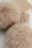 COCCODRILLO šalle ACCESSORIES WINTER GIRL, krēmveida, ZC5369101AWG-002-000 