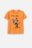 COCCODRILLO t-krekls ar īsam piedurknēm, oranži, WC6143216VBB-006-128, 128 izmērs 