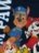 NAME IT PAW PATROL džemperis, 13246668 92 